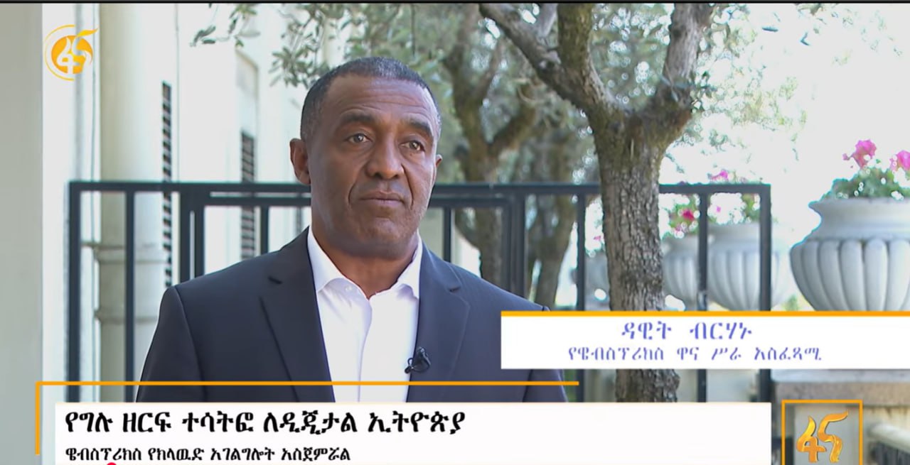 Private Sector Participation for Digital Ethiopia